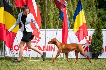 Image of Ambravittoriya Unreal Dream