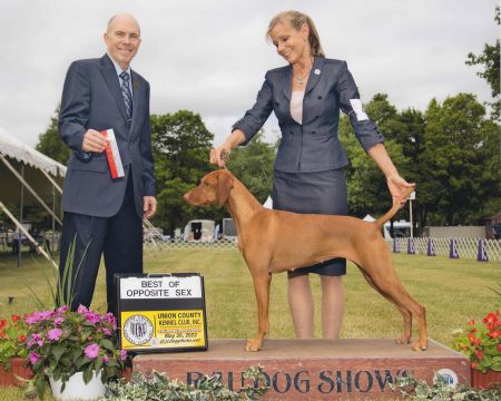 Image of Sherwood Forest's Dolce Piccola Bomba