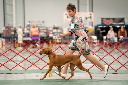 Image of Trublu Anything You Say