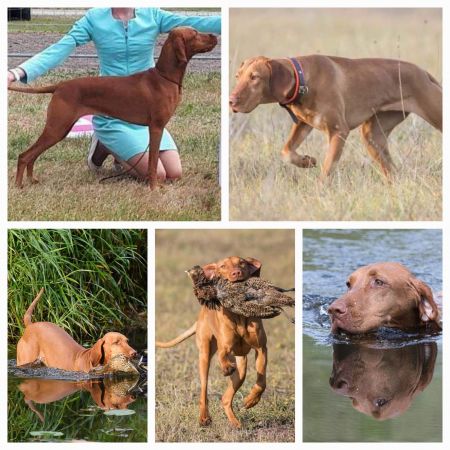 Image of Emily Free Jazz