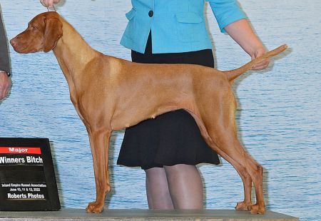 Image of Autumn Acres-Sokoldalu's Superfly Cherry Ride