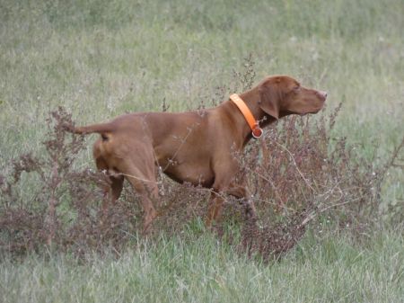 Image of Eastwind Solana's High Seas Adventure