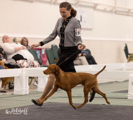 Image of Eastwind Solana's High Seas Adventure