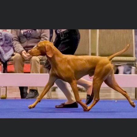 Image of Berkcor's All That And A Bag Of Chips