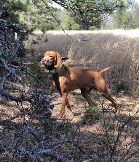 Image of Jakra Wintergrn Keen On Blondes