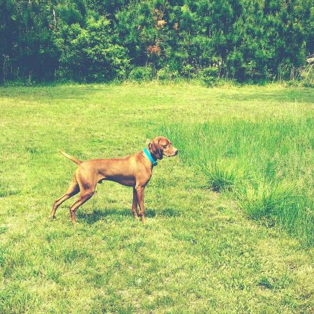 Image of Jakra Wintergrn Keen On Blondes