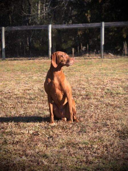Image of Jakra Wintergrn Keen On Blondes