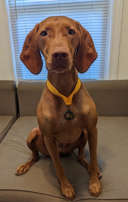 Image of BerkCor's Life of the PartTEA