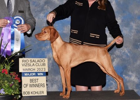 Image of Hrq Check Me Out