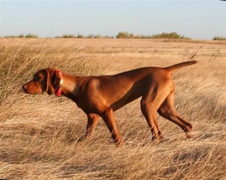 Image of HRQ Keep 'Em Guessing