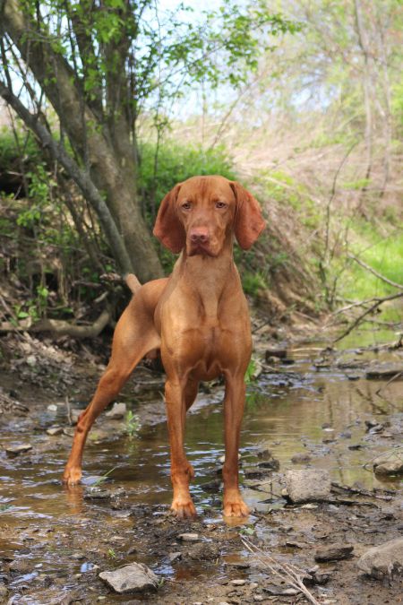 Image of Glade Mill U Got The Look