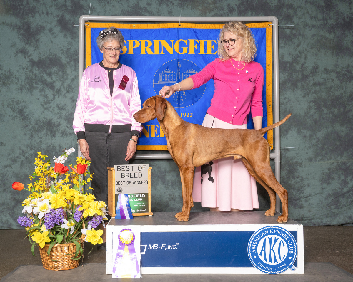 Image of Legendary Pretty Thing Odair Odds Are In His Favor