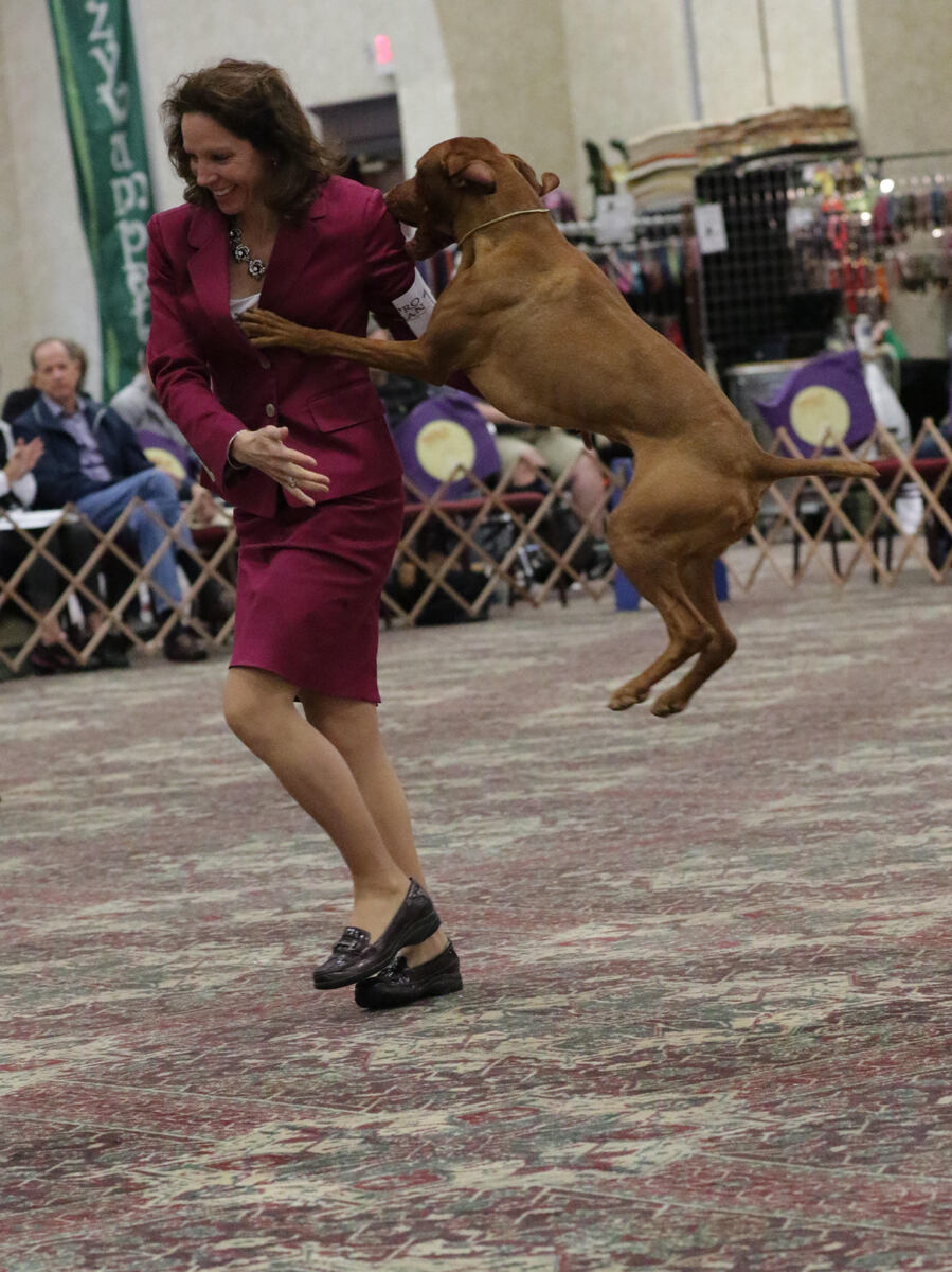 Image of Wetherbee's One Time Only