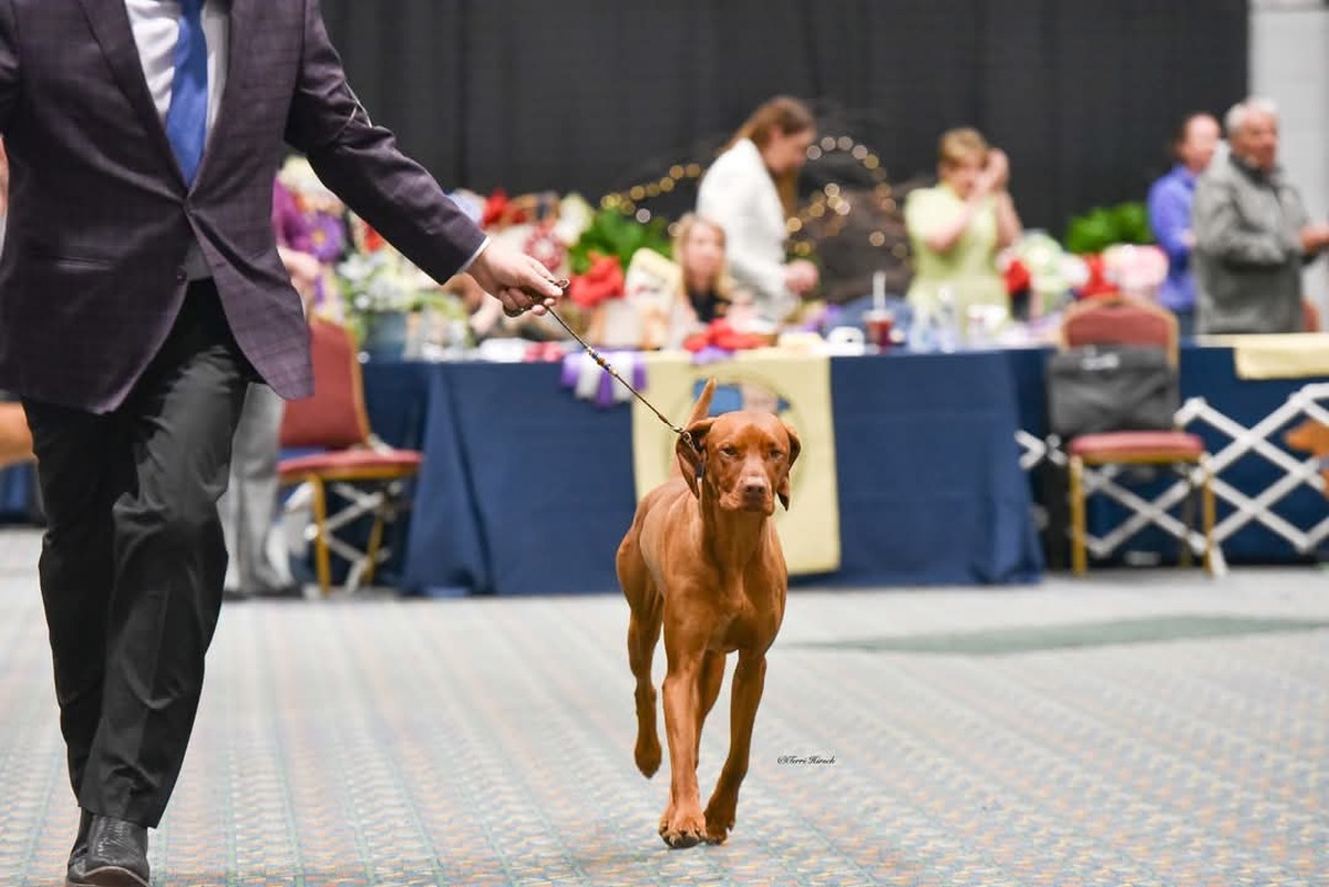 Image of Legendary Pretty Thing Odair Odds Are In His Favor