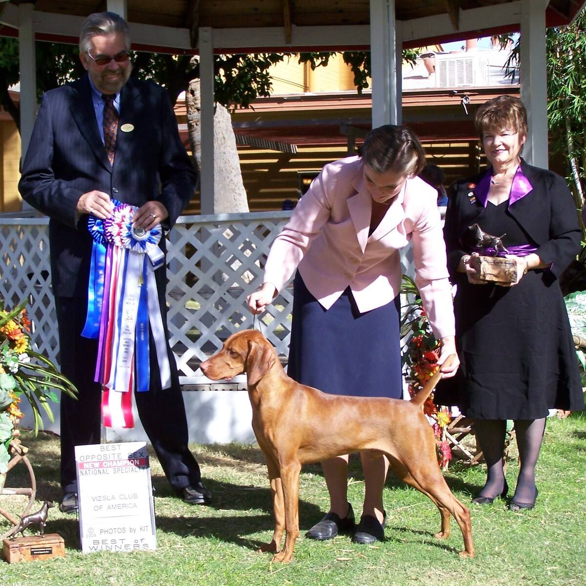 Image of Szikra's Comfort Food