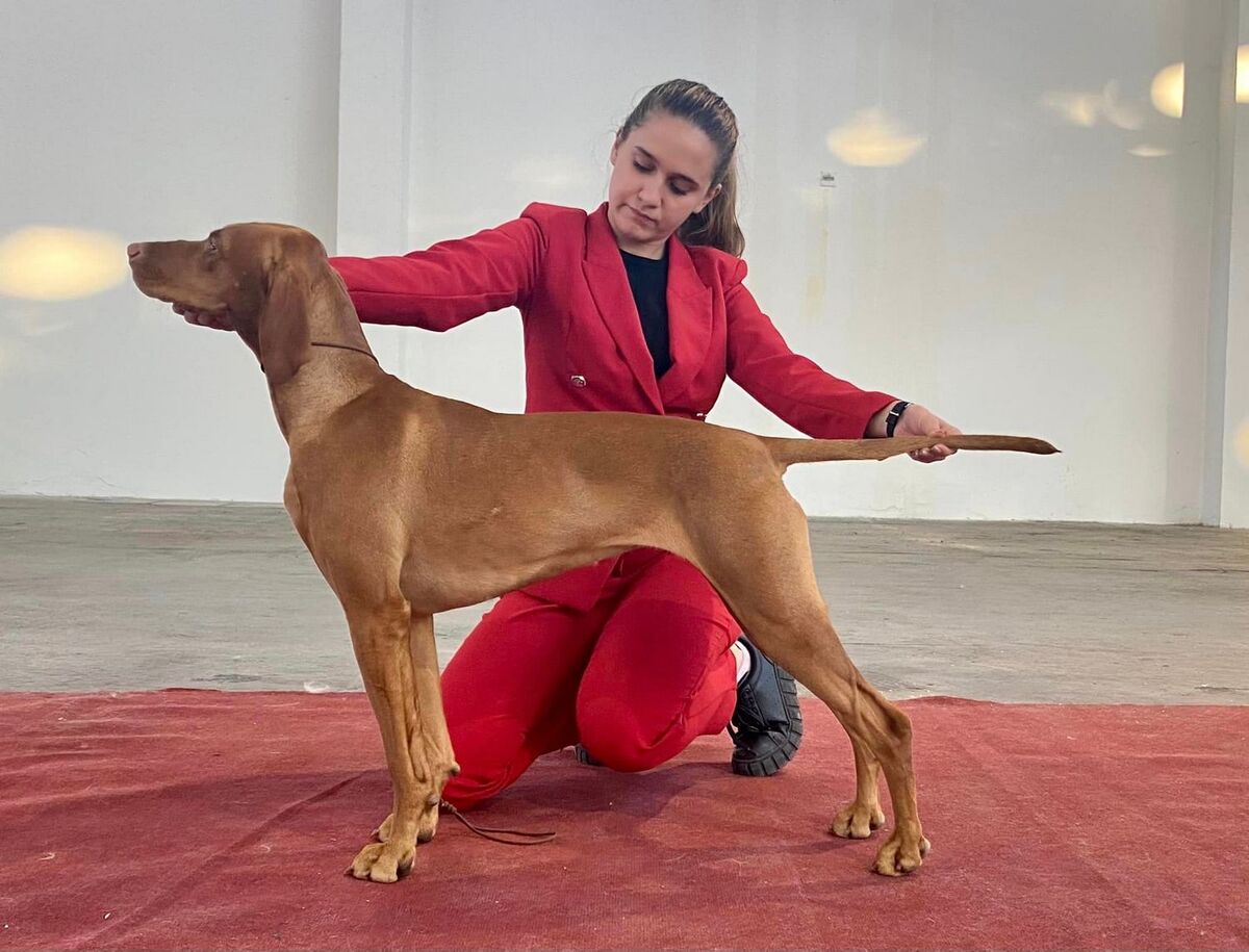 Image of Butterfly Hunter Buffy