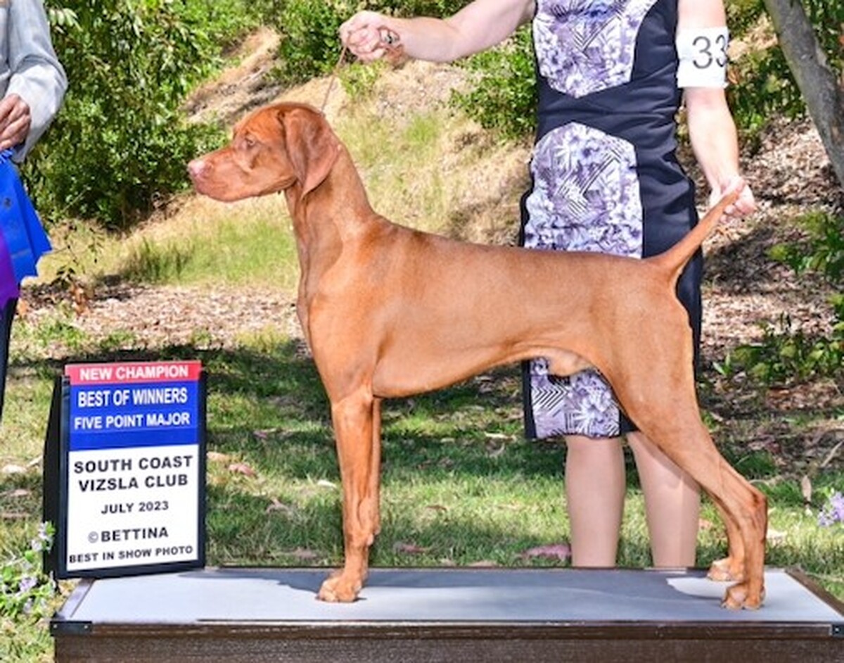 Image of Crown Jewell World War Z