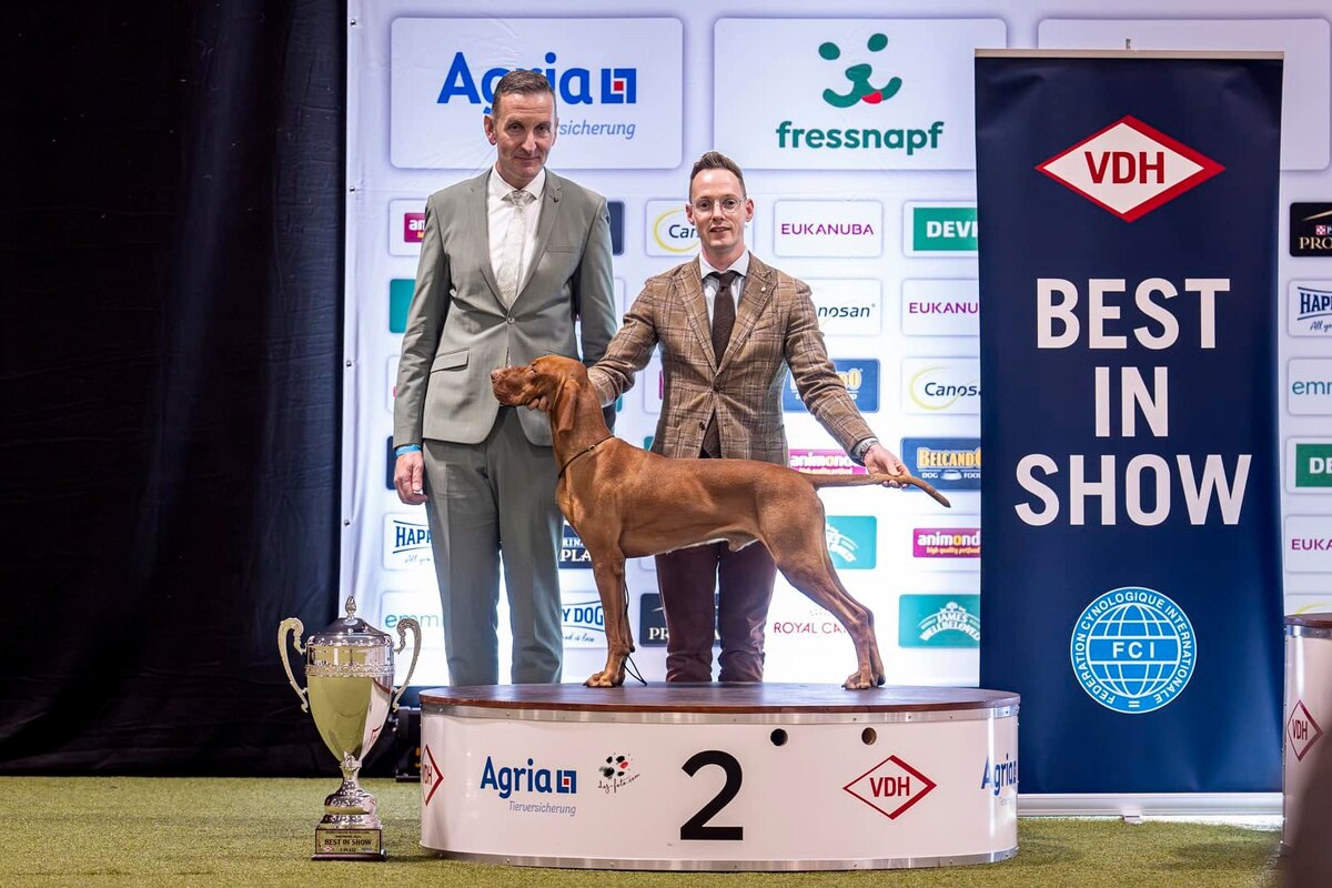 Image of Butterfly Hunter Bogeyman