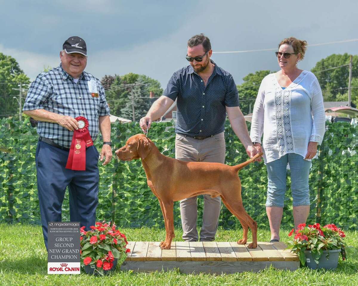 Image of Chakra's Take It Easy