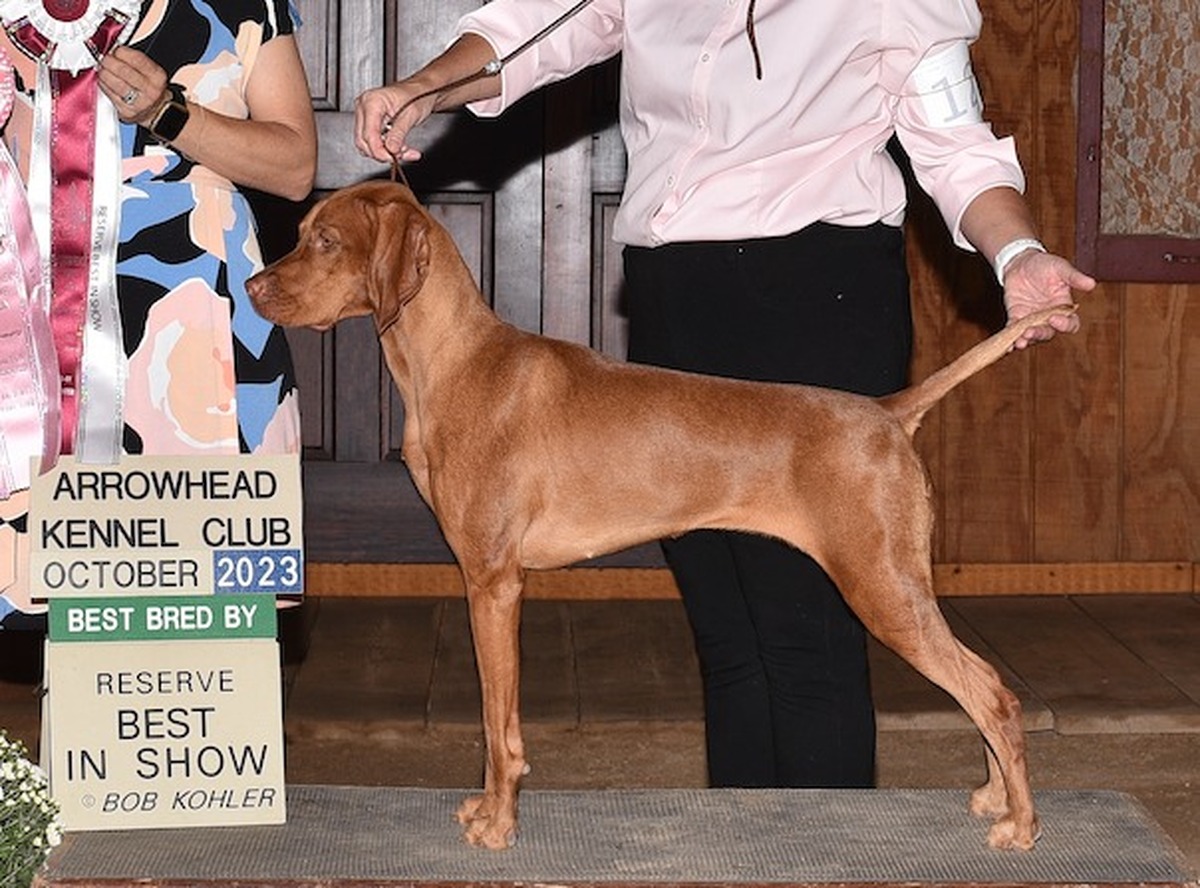 Image of Crown Jewell Can't Catch Me