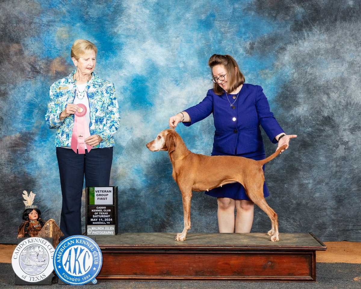 Image of Szizlin's Goin' For Gold