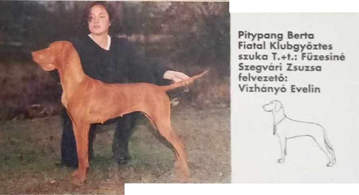 Image of Pitypang Berta