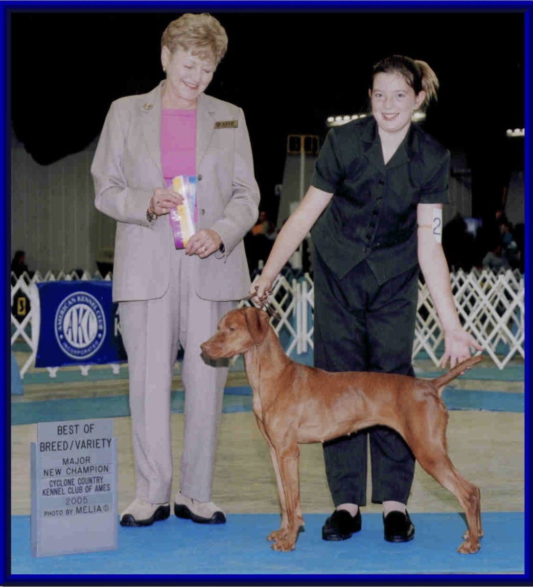 Image of Kick Em Up Just A Lil Sassy