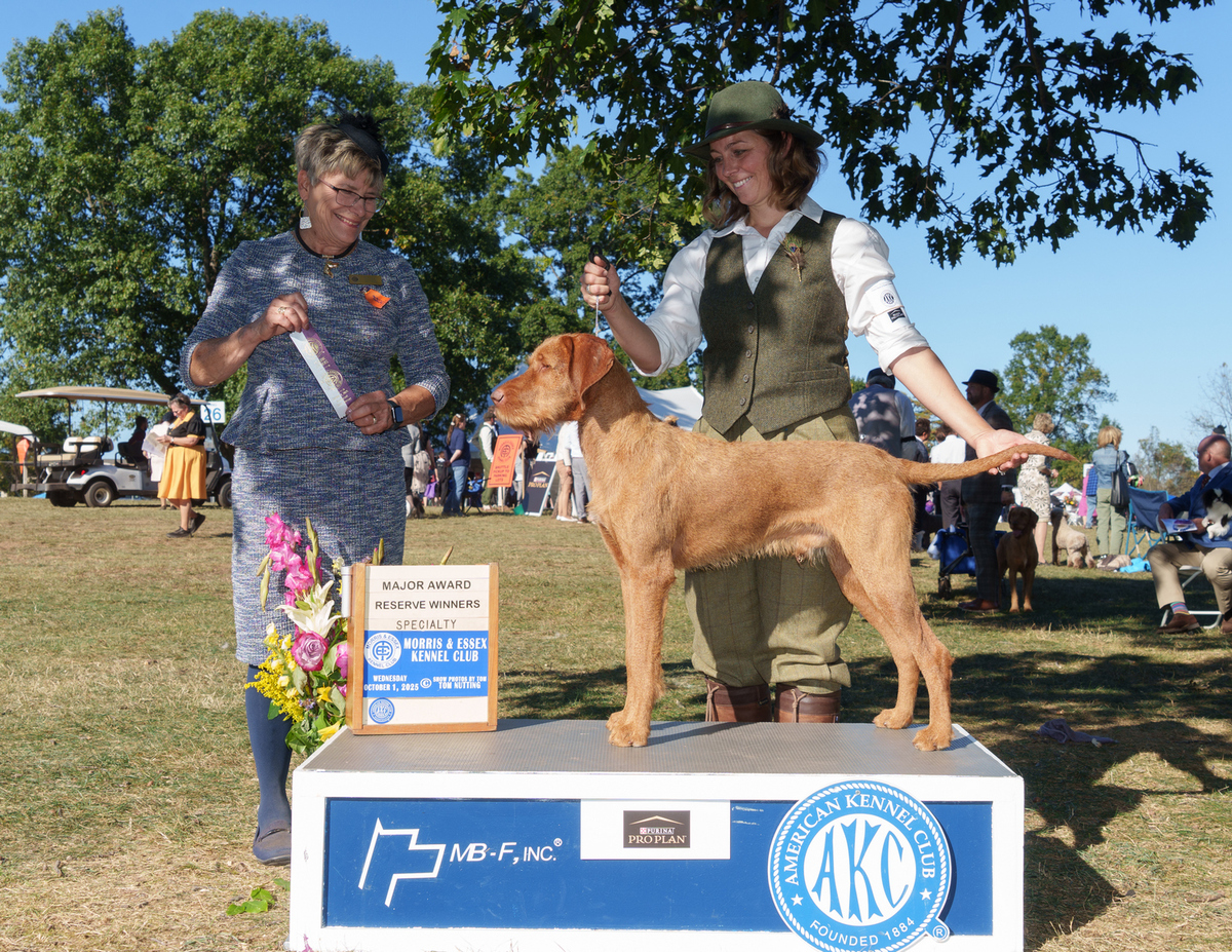 Image of Cave Canis Kincsem Budapest