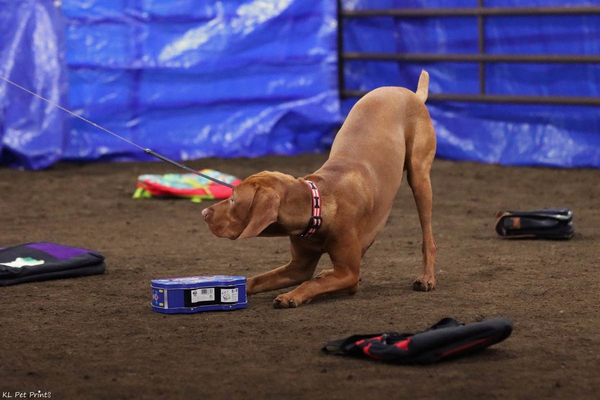 Image of Sokoldalu's Rule1-Nevr Screwover Ur Partner