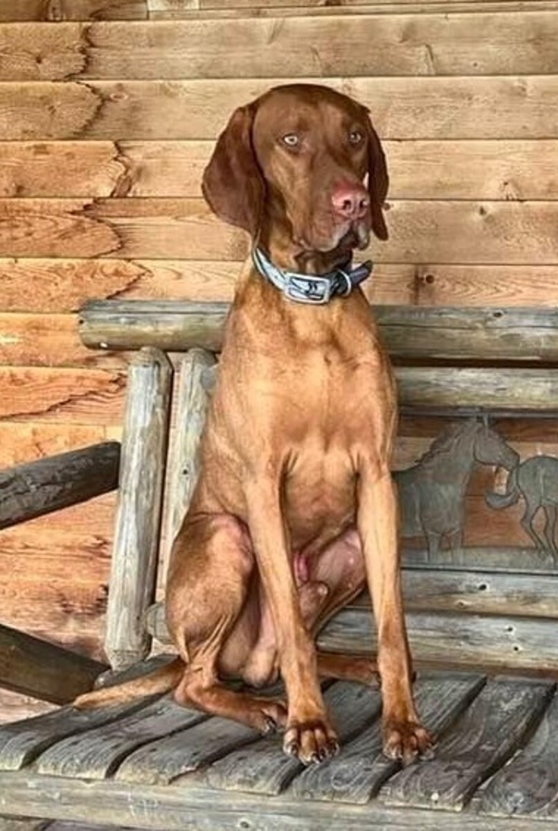 Image of Solaris Final Countdown