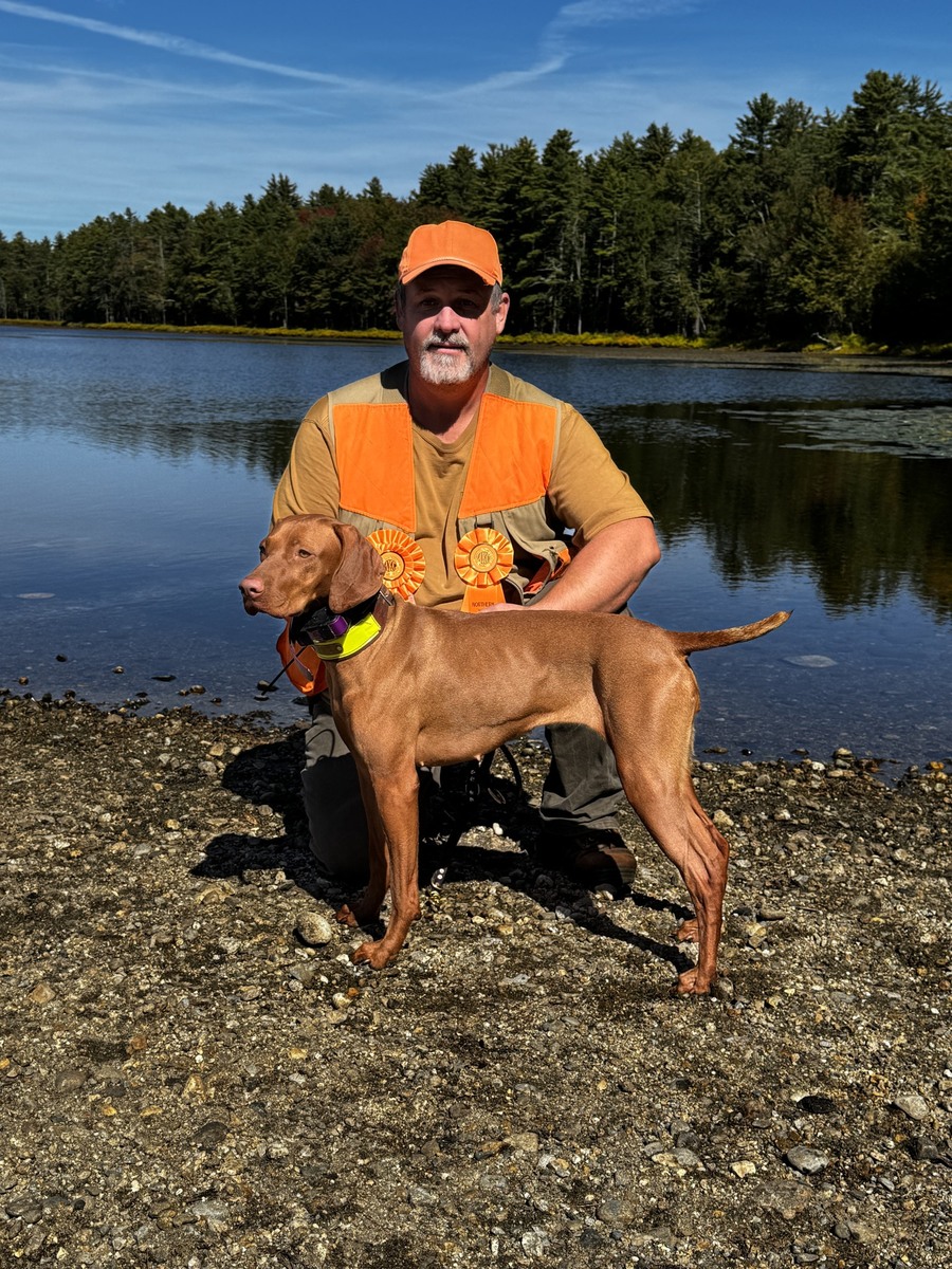 Image of Forest King But Wait There's More