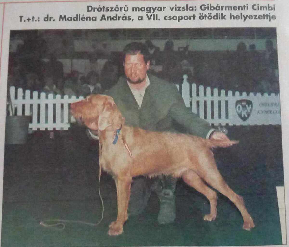 Image of Gibarmenti Cimbi