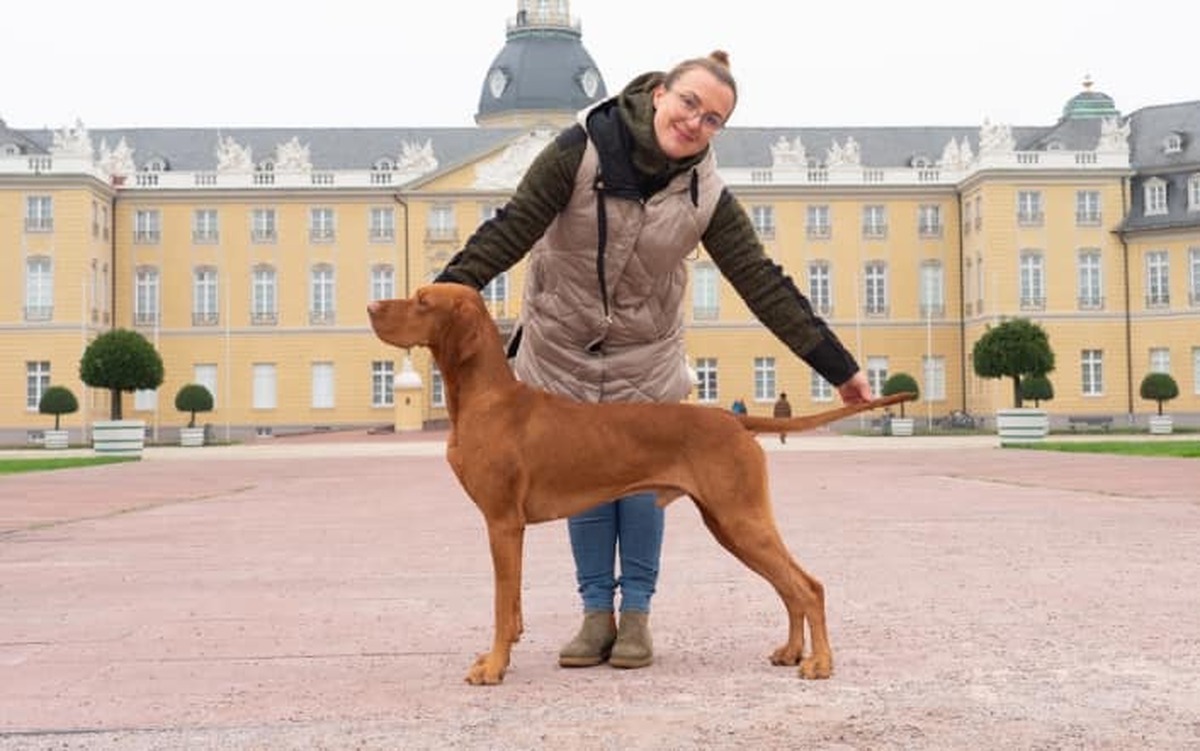 Image of Guido Magyar-Tim