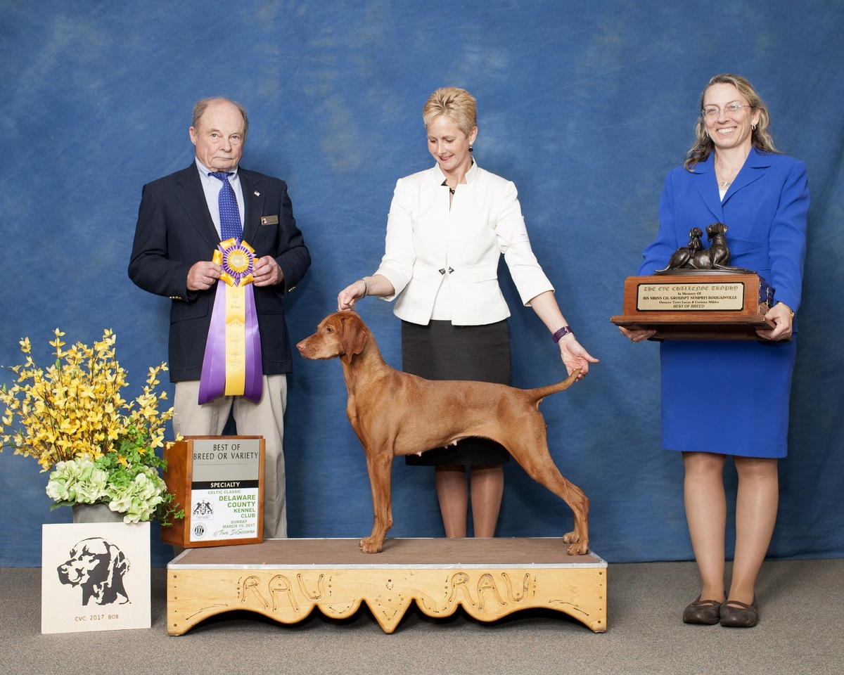 Image of Captivatin's I'm The One