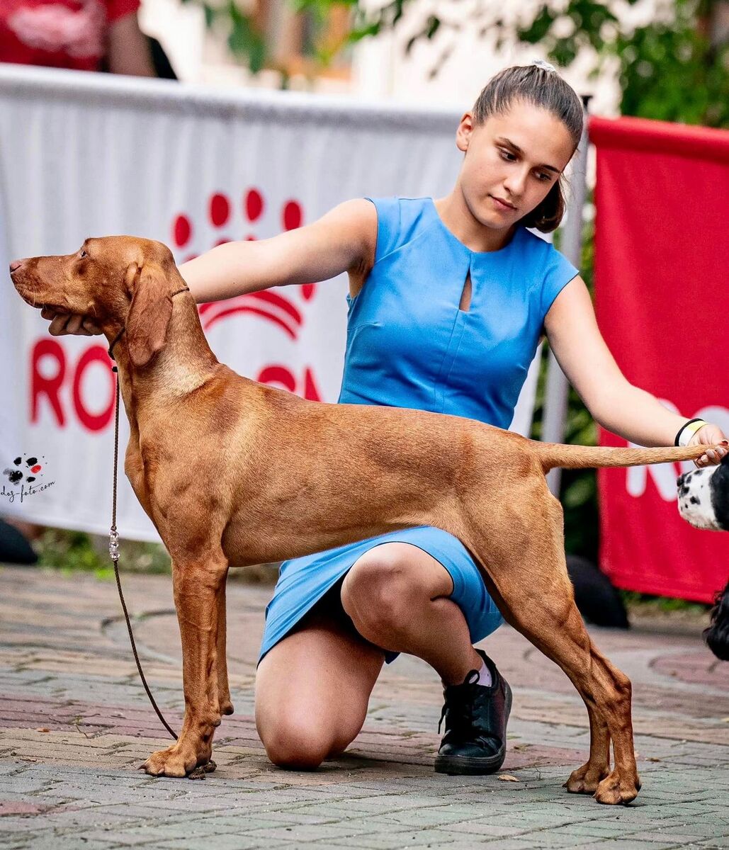 Image of Butterfly Hunter Buffy