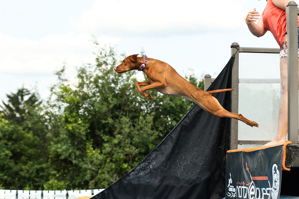 Image of Ourdream's I'd Wanna Be Me Too