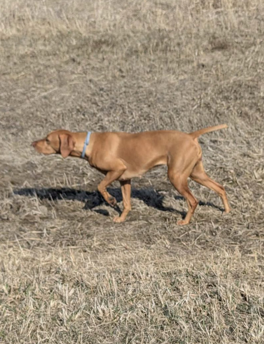 Image of Rda Nothin But Drama