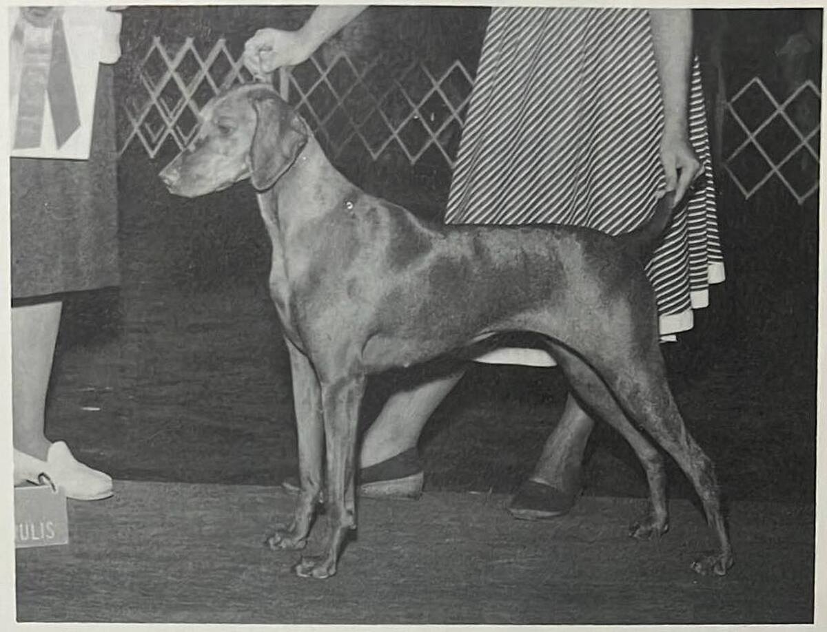 Image of Arnell Splendid Arrangement