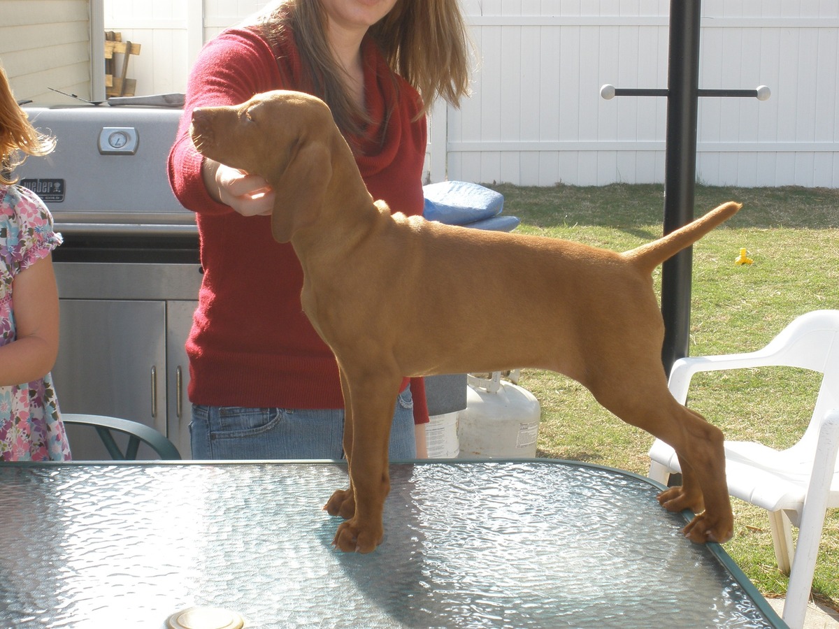 Image of Solaris Sex On The Beach