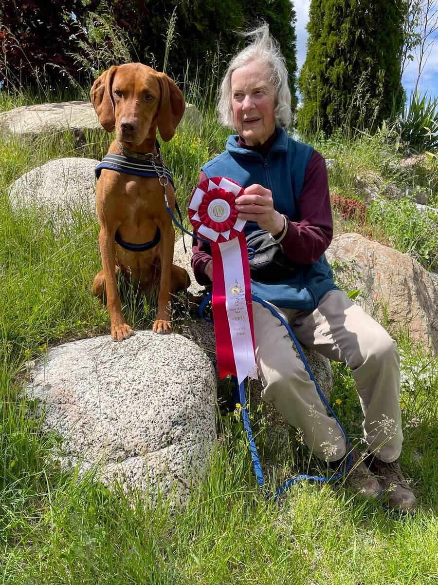 Image of Sokoldalu's Astrid Starlight