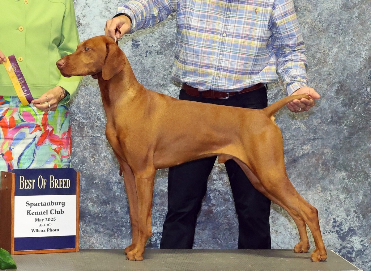 Image of Vizcaya's Rainbow Takin' It Easy