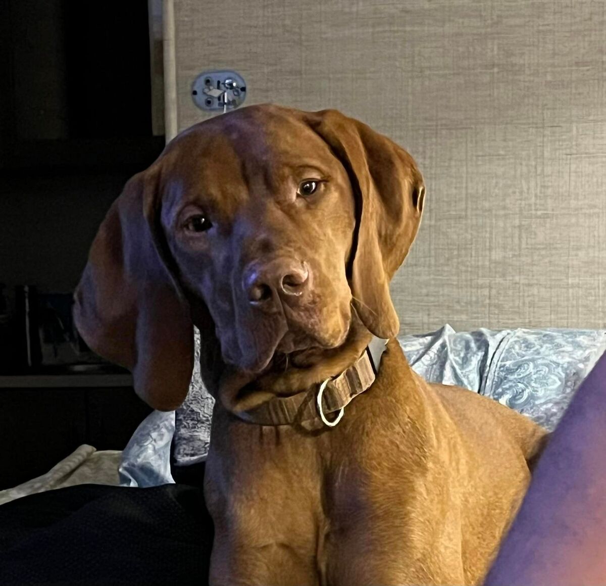 Image of Thaar's New Moon Over Avalon