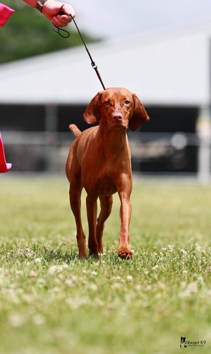 Image of Fezentrun's Livin' The Dream At Sienna Point