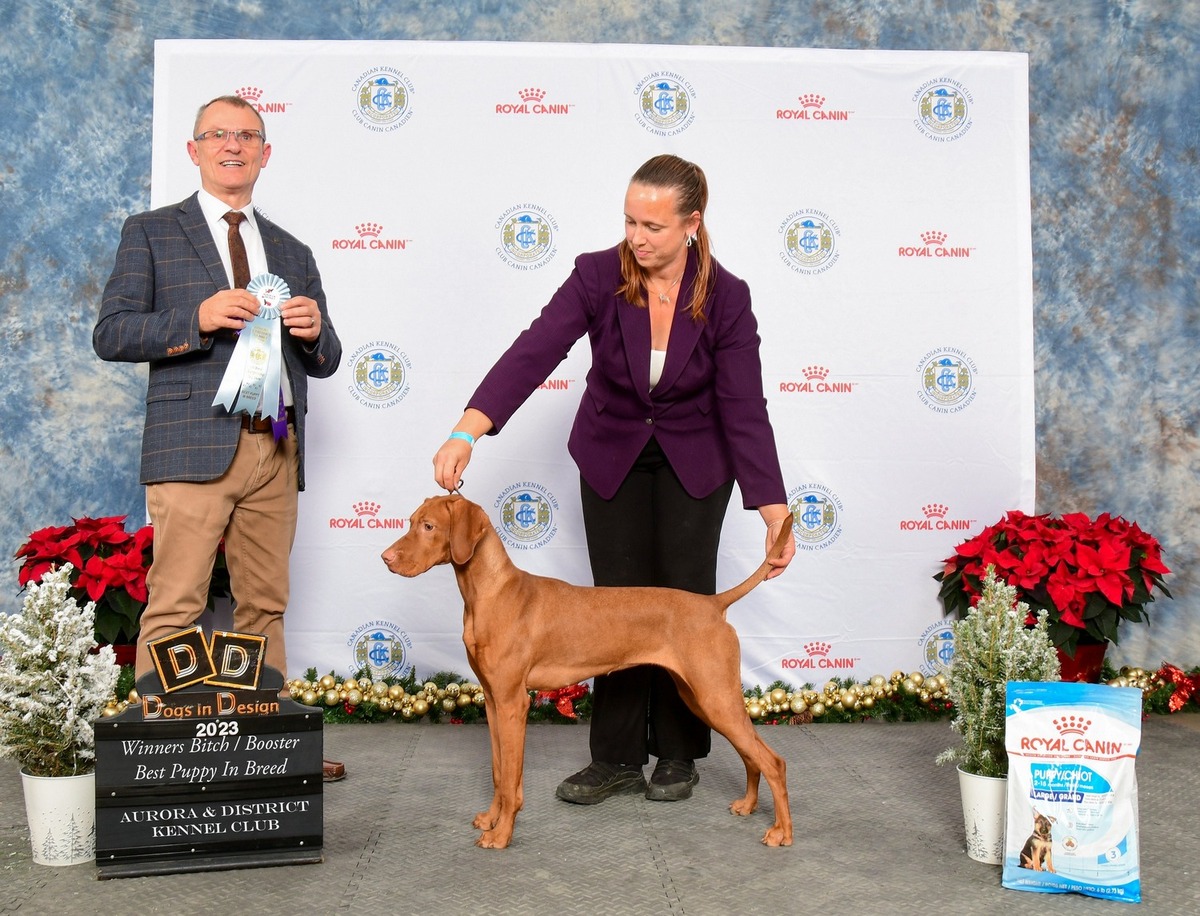 Image of Shikari The World Is My Stage