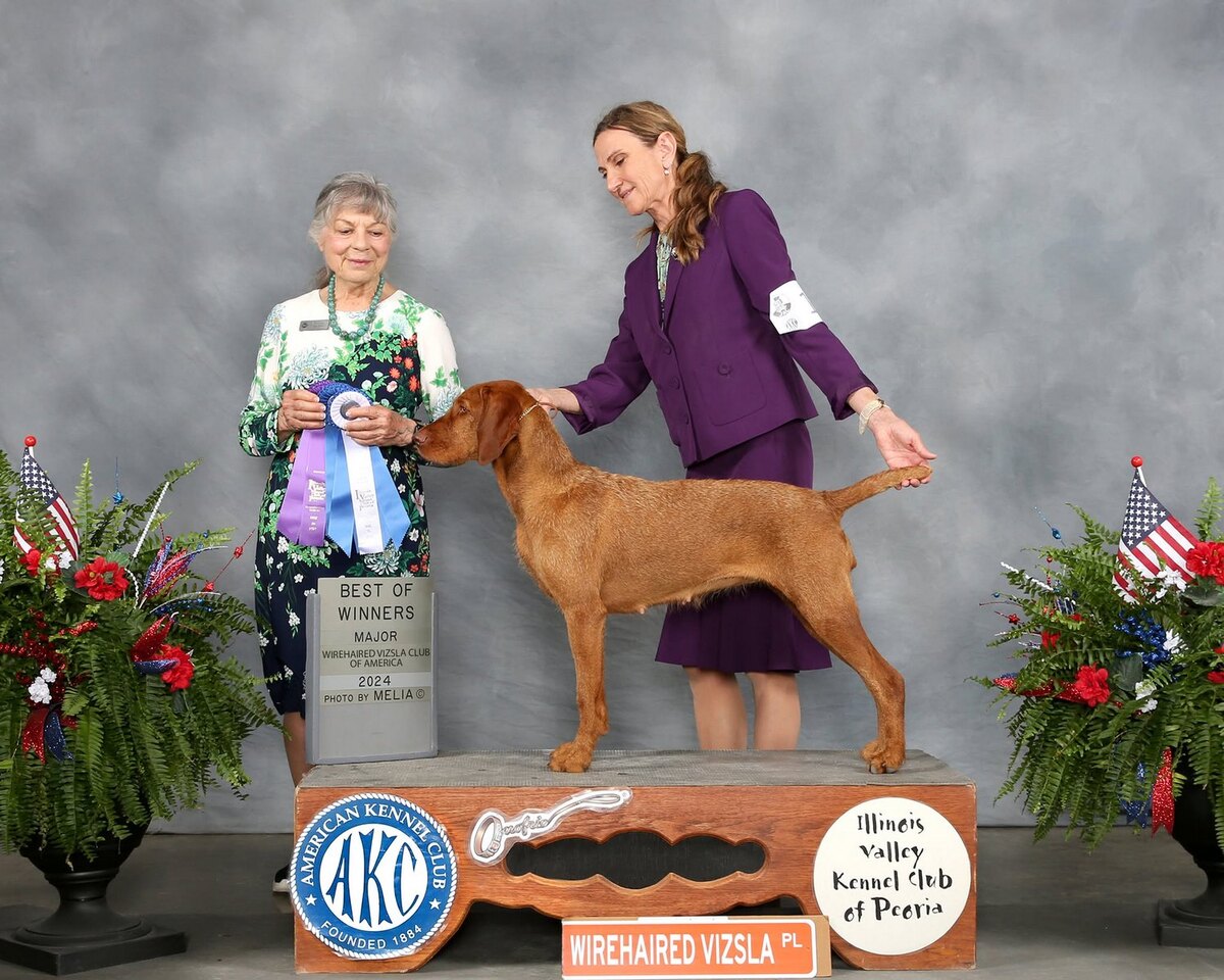 Image of Little Hunter's Flaming Hot At Vinewood