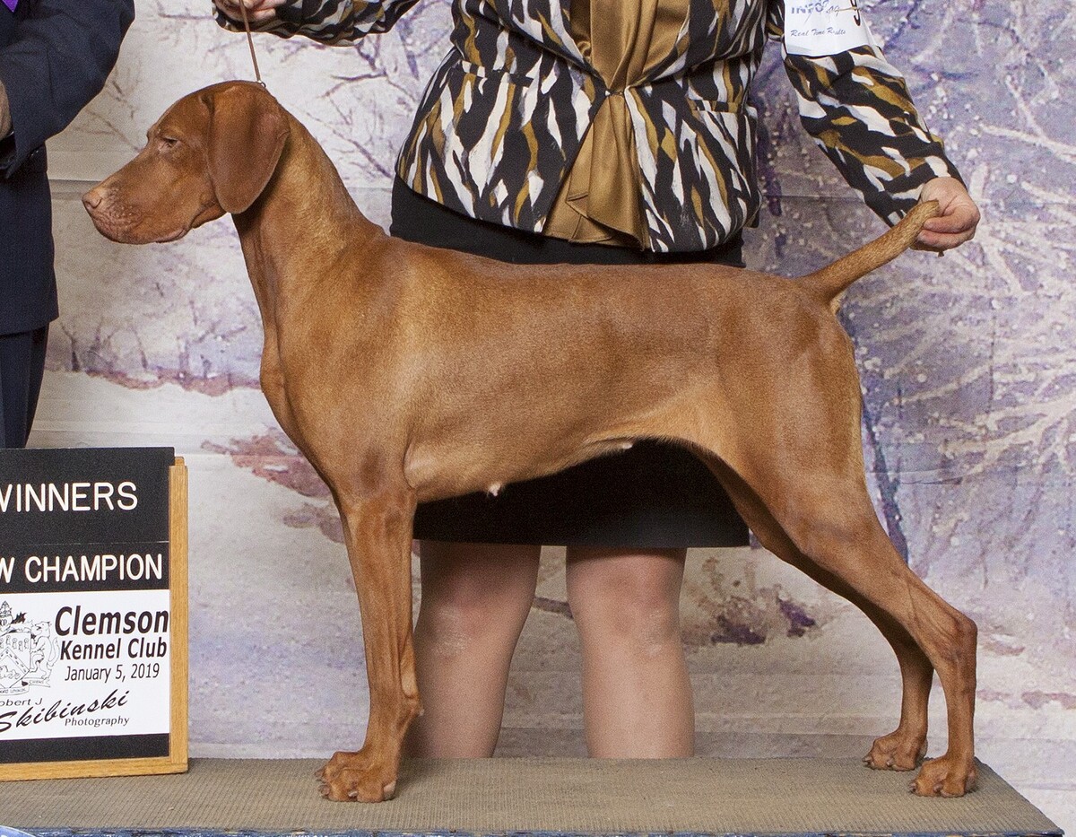 Image of Solaris Hocus Pocus