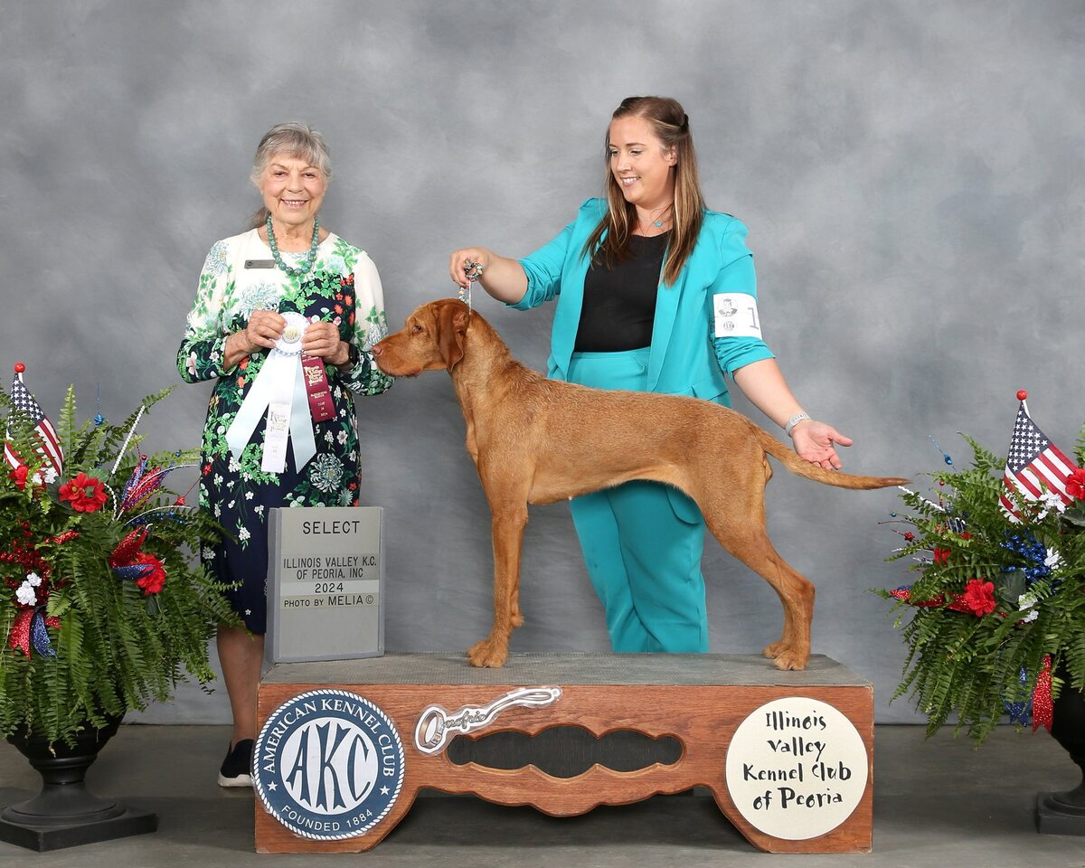 Image of Bojana von der Ilseaue