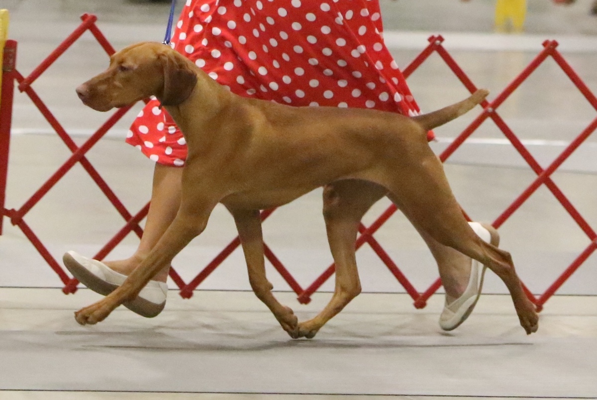 Image of Solaris Banker Cold Hearted Woman