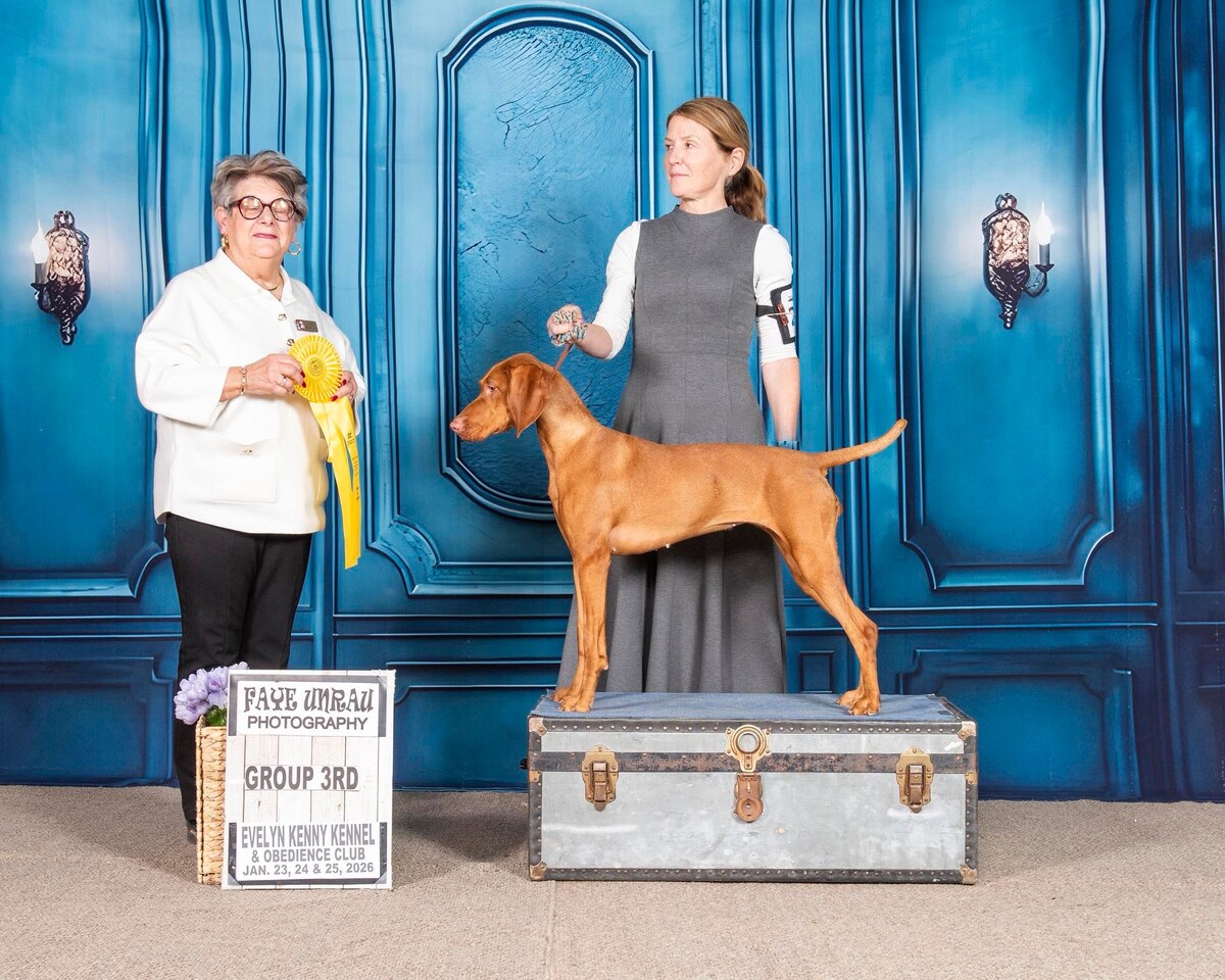 Image of Stoney Lake Stardust