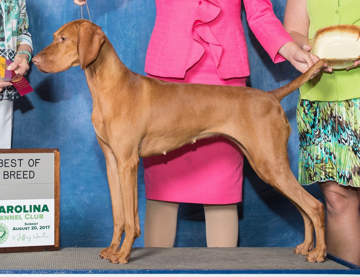 Image of Solaris Banker Cold Hearted Woman